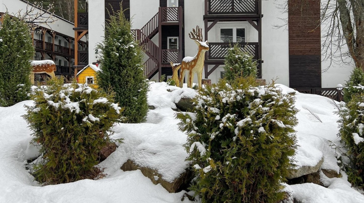 Яхонты Таруса