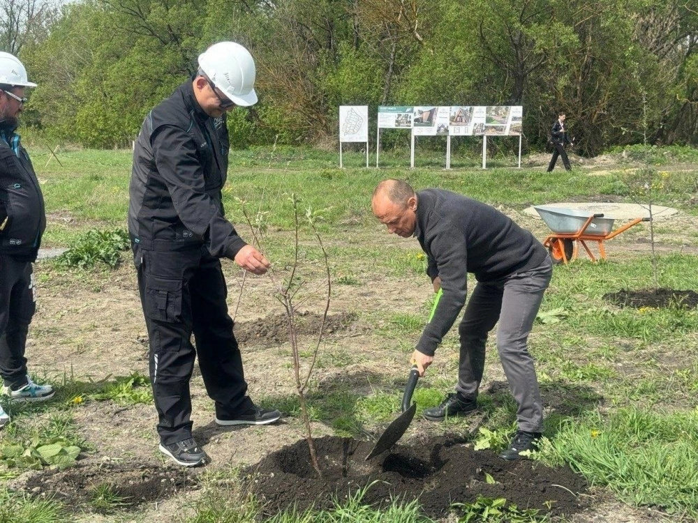 Парк Мельниц