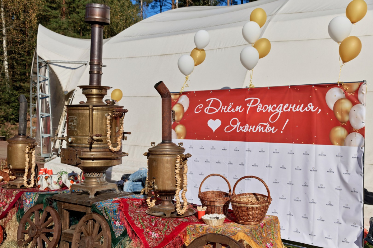 Ногинск-ДР-новости-2025